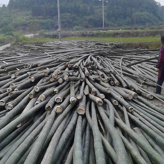 建筑竹笆